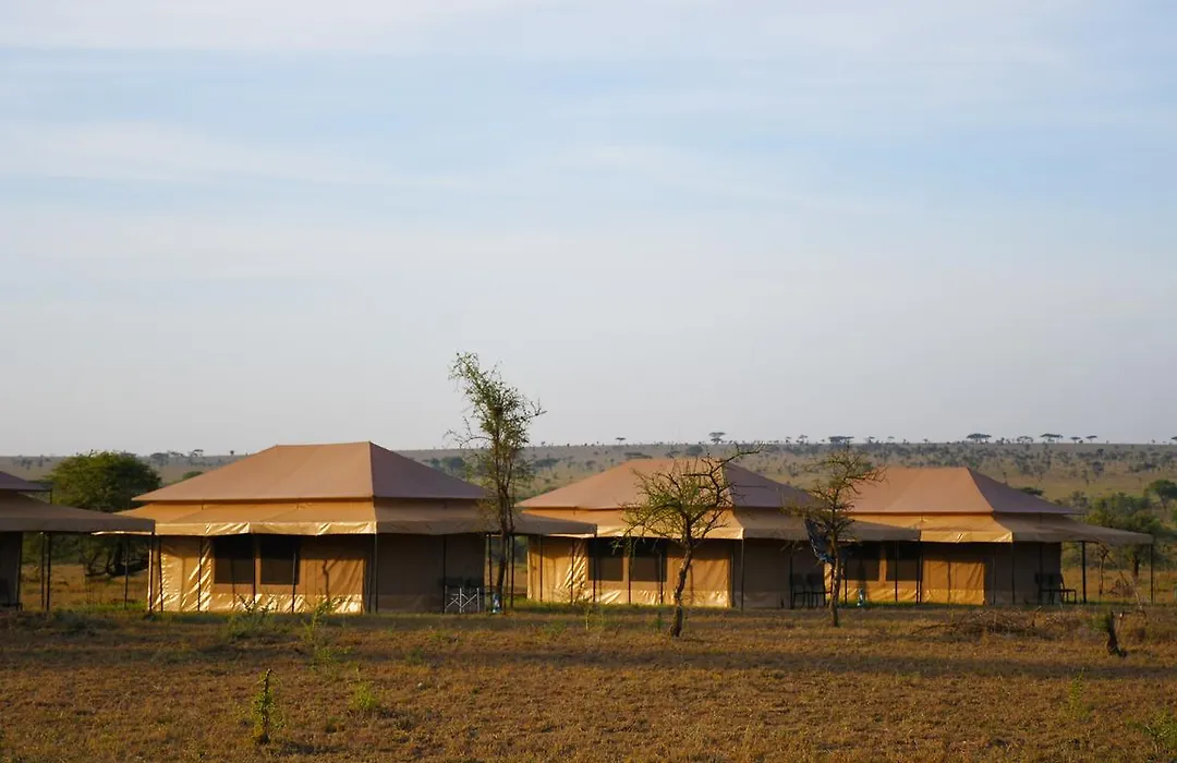 Serengeti Wild Camp-1