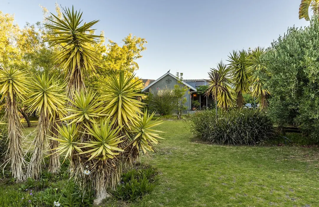 Karoo Lodge-1