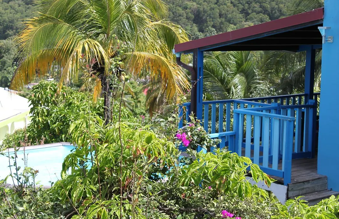 Coeur Caraibes-1