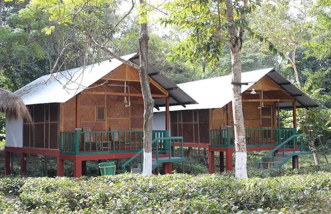 Nature Hunt Eco Camp-1