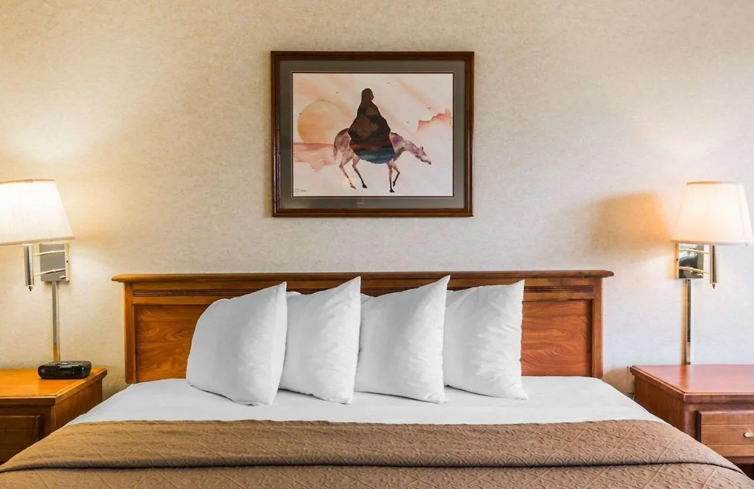 Quality Inn & Suites Montrose - Black Canyon Area-1