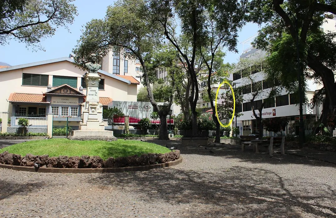 Apartments Madeira City Center-1