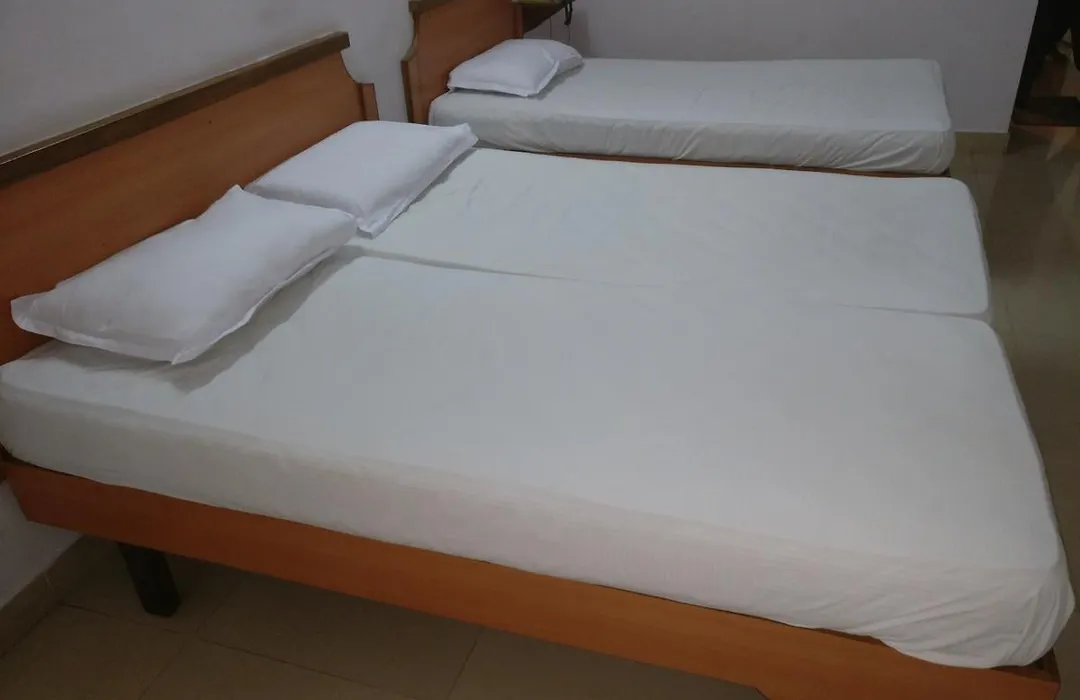 Hotel Surya-1