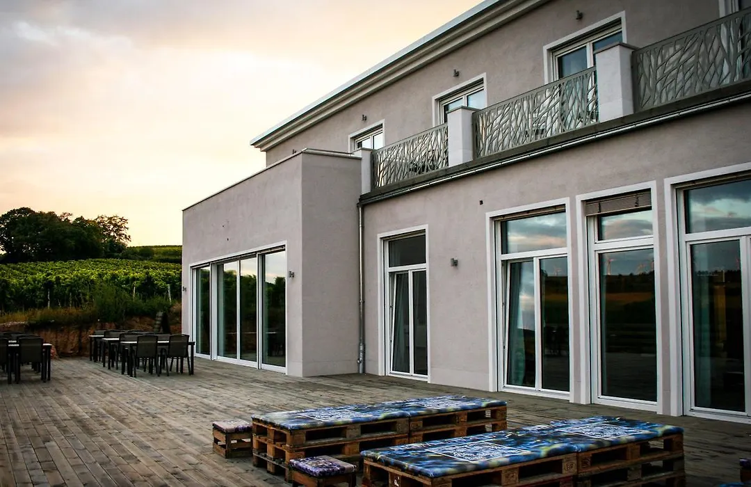 Winzerhotel Trautwein-1