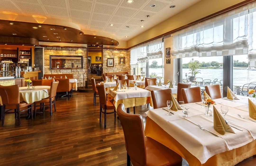 Hotel Rheingold-1