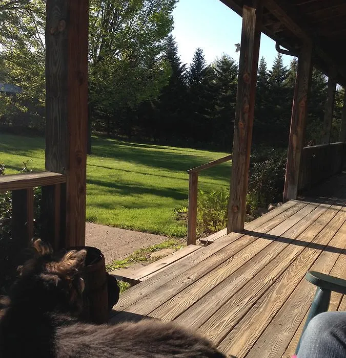 The South Glenora Tree Farm-1