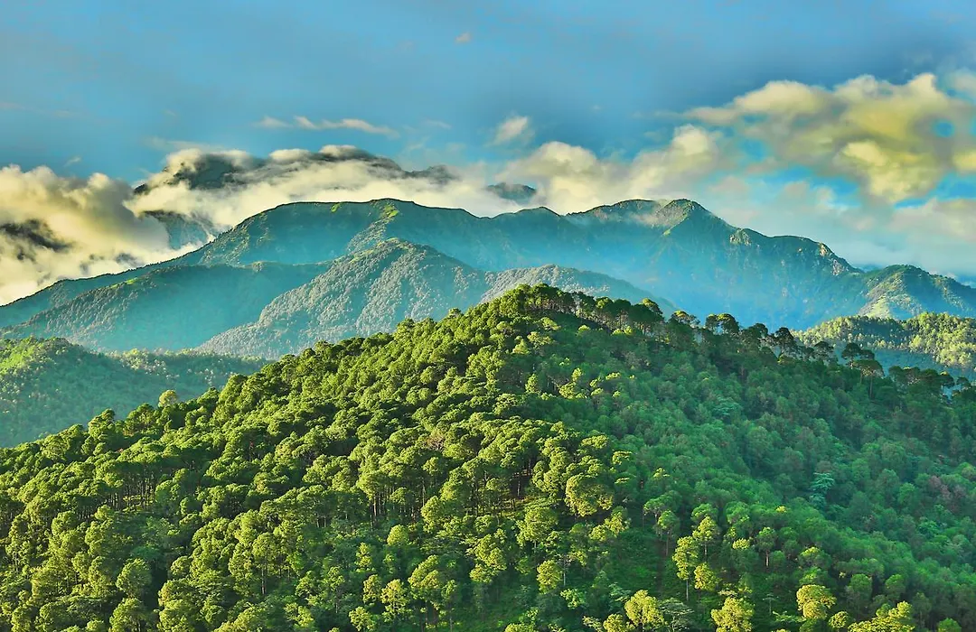 Chimbalhar Heights-1