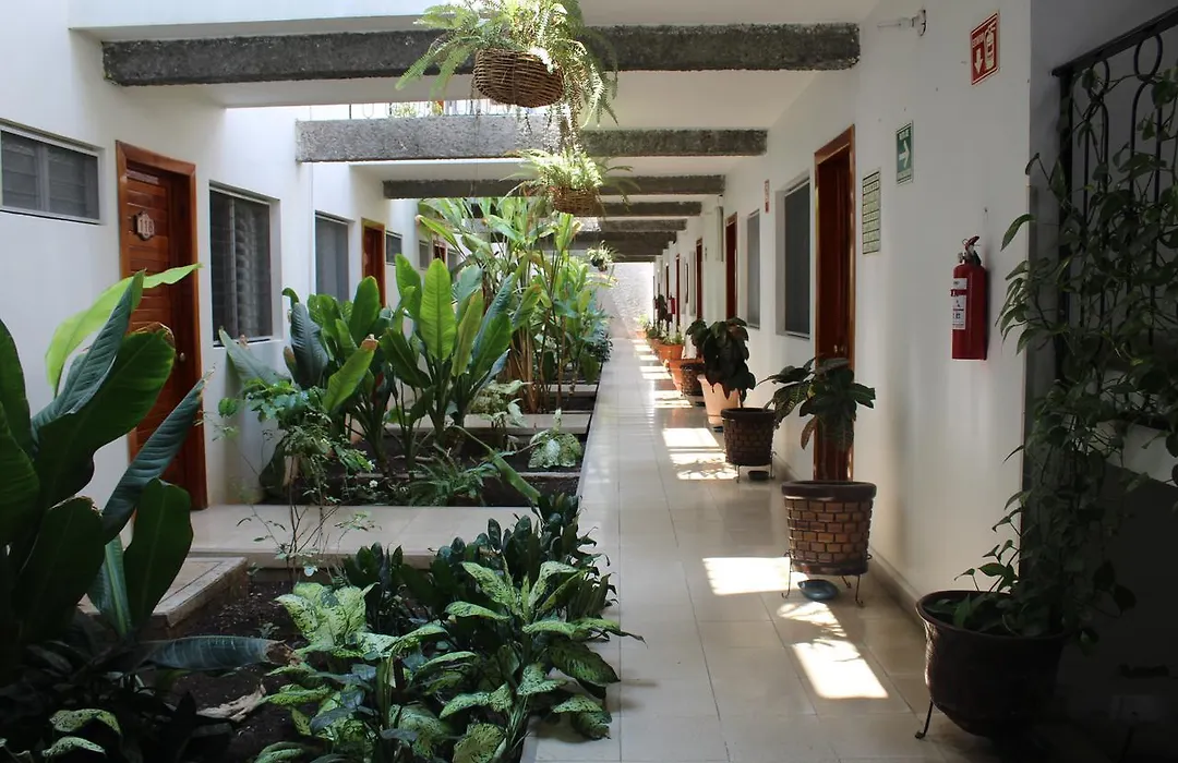 Hotel Casablanca Tuxtla-1