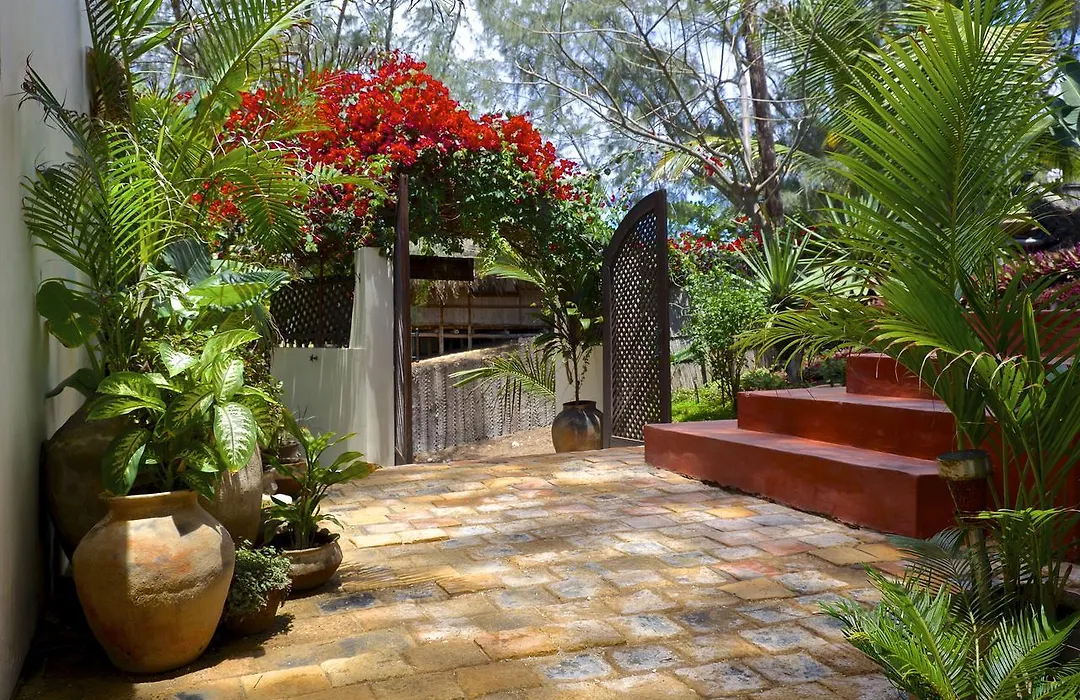 Baia Sonambula-1
