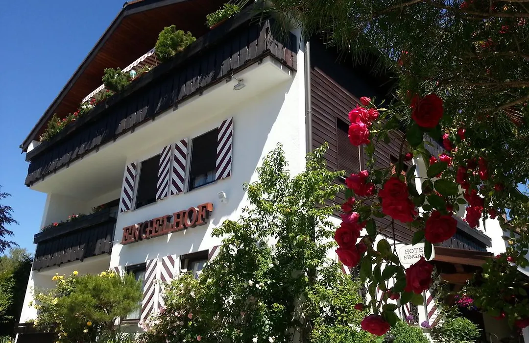 Hotel Engelhof-1