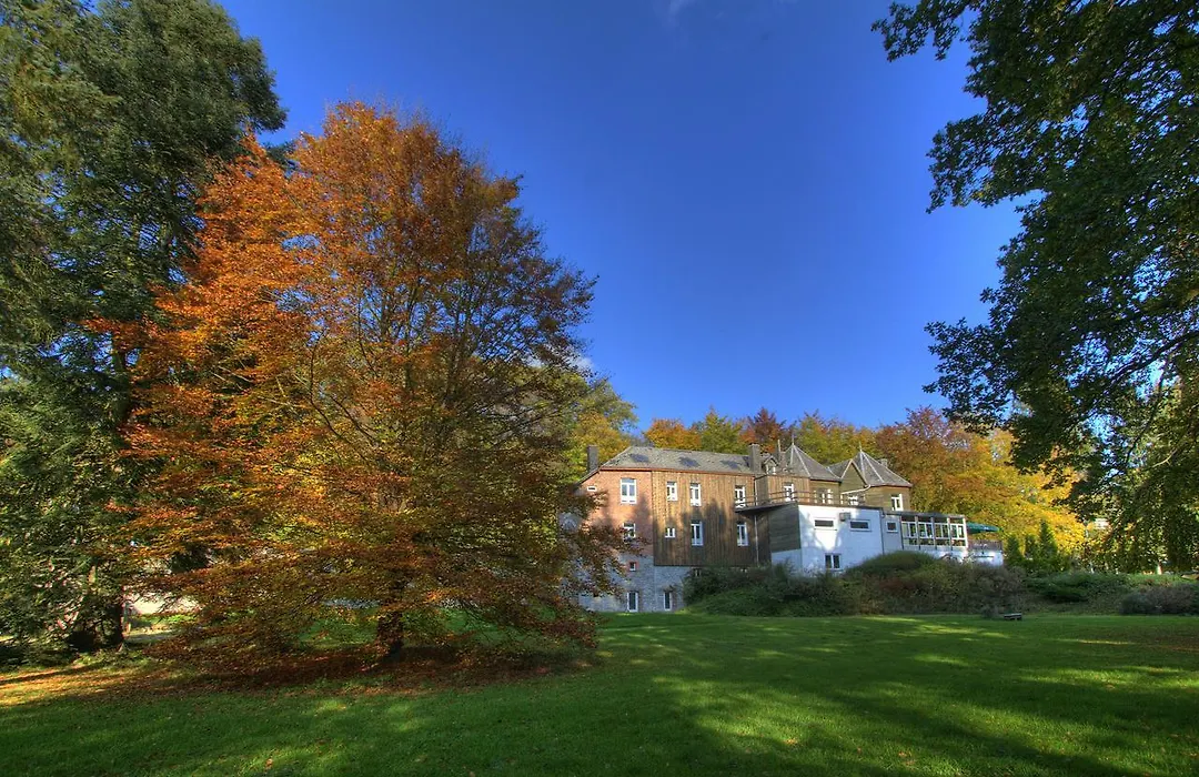 Parkhotel Villa Des Effats Vielsalm-1