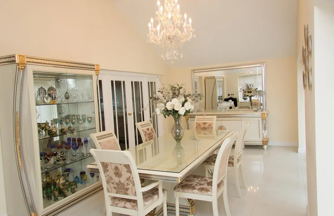 Deneview-1
