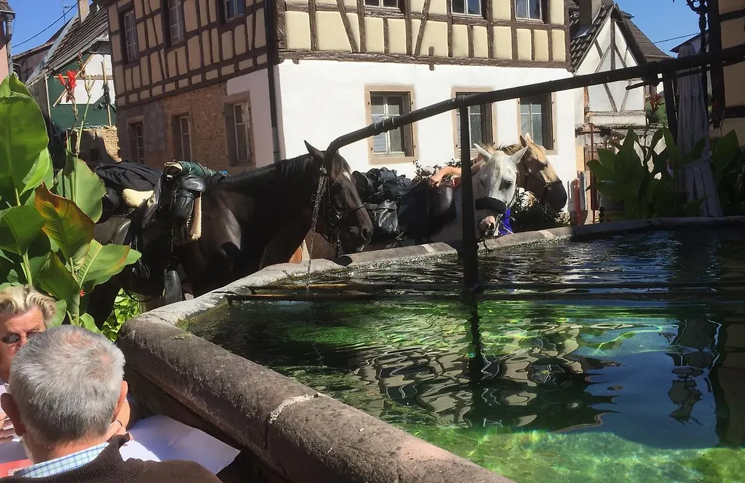 Auberge Du Rempart-1
