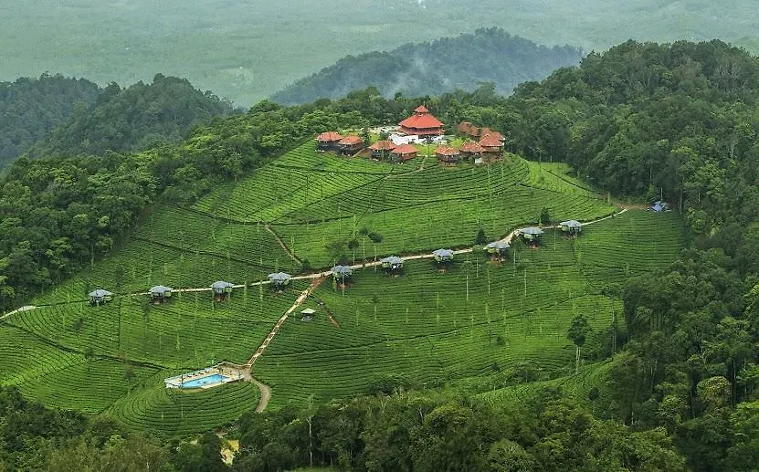 Wild Planet Jungle Resort-1