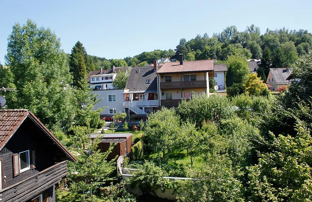 Pension Vicus-1