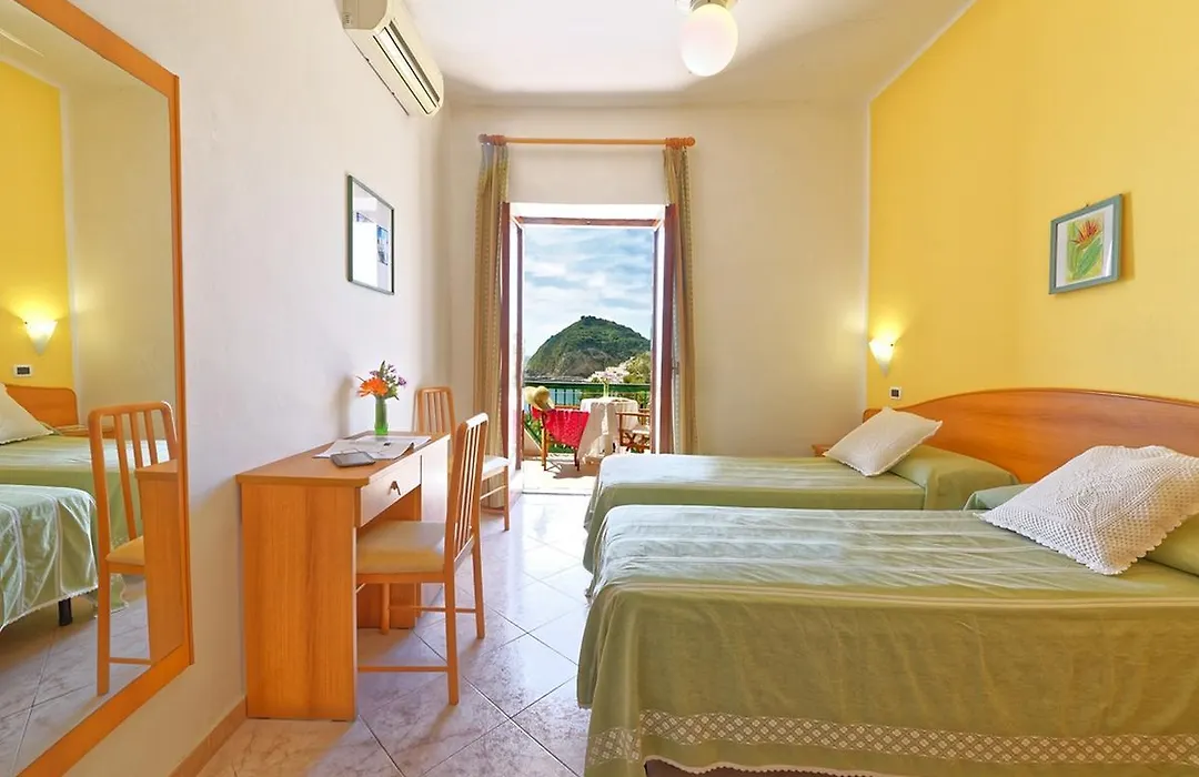 Hotel Villa Franz-1
