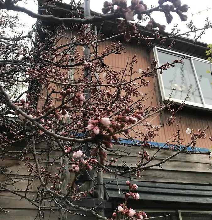 Shabby House-1