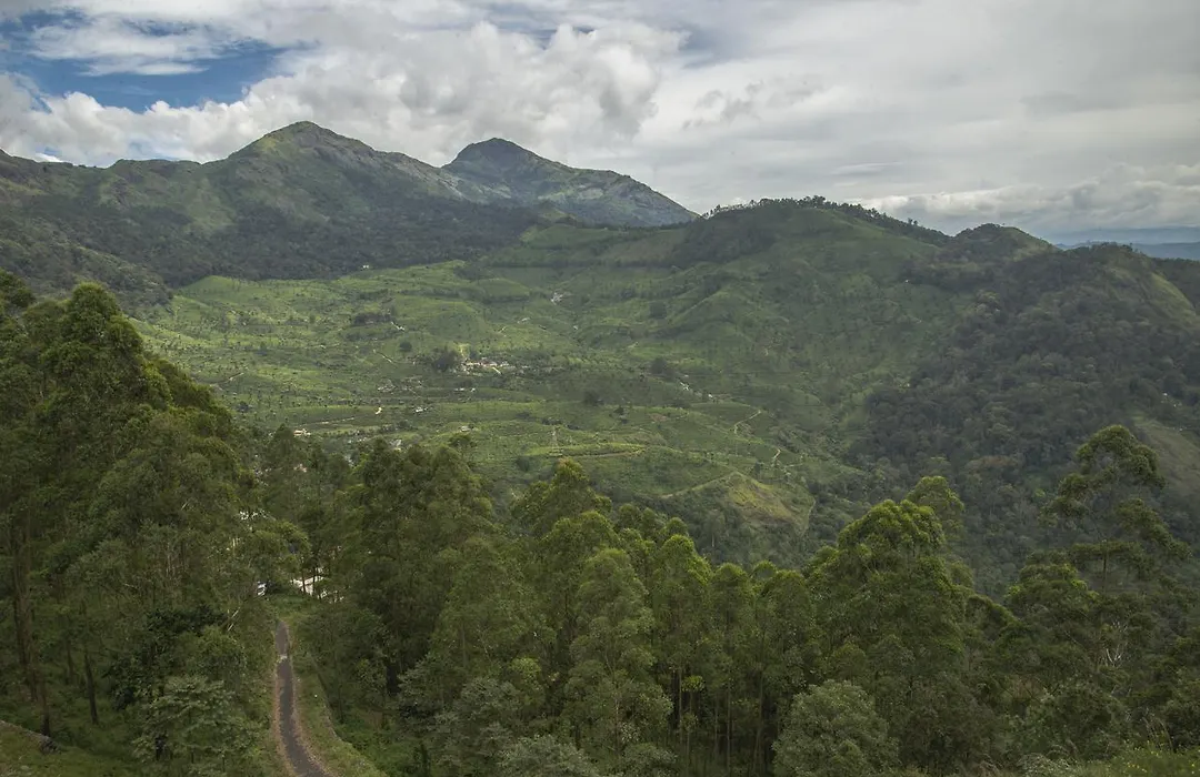 Mount Valley Resort - A Secluded Getaway-1