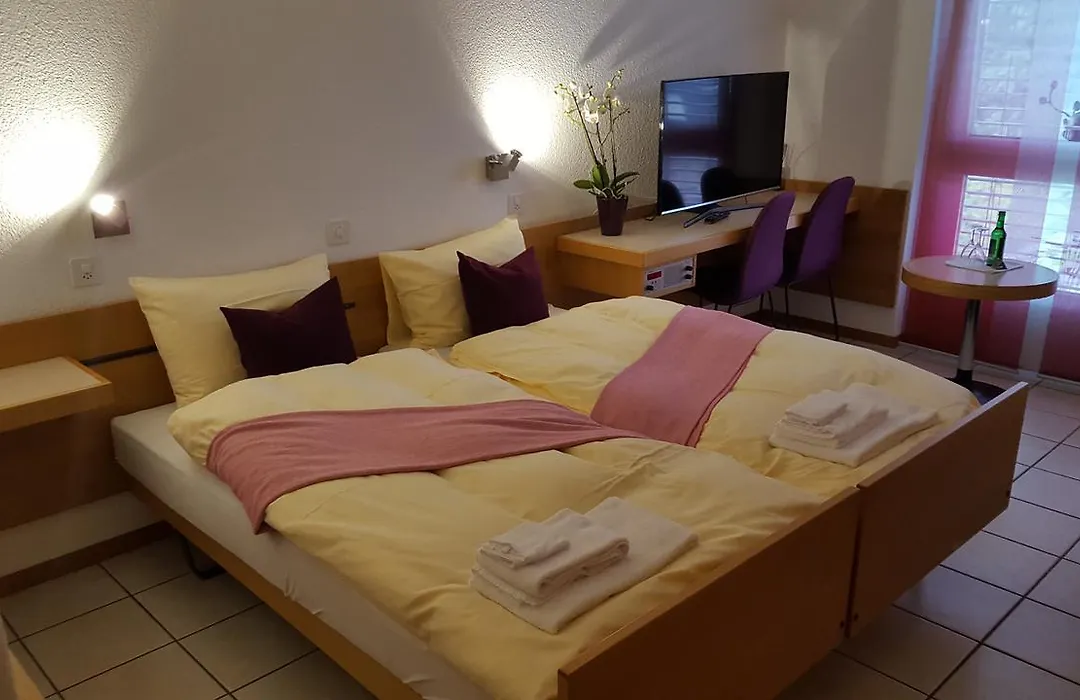 Hotel Loetschberg-1