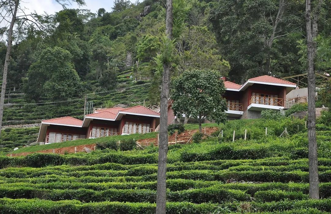 Hanging Huts Resorts-1