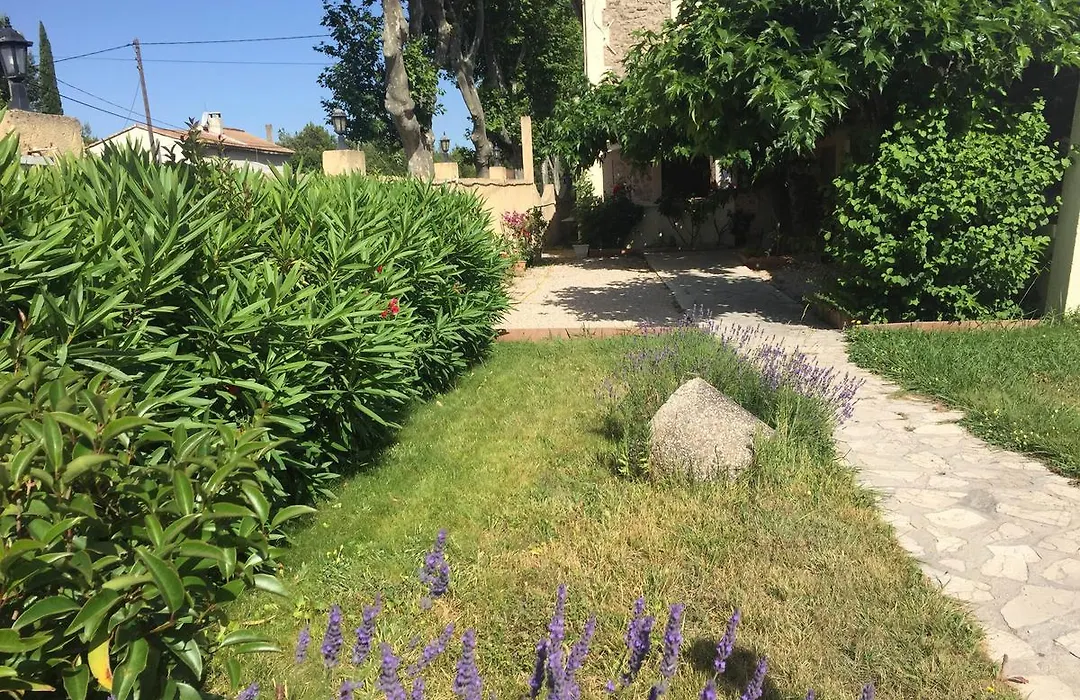 Auberge Les Olivades-1