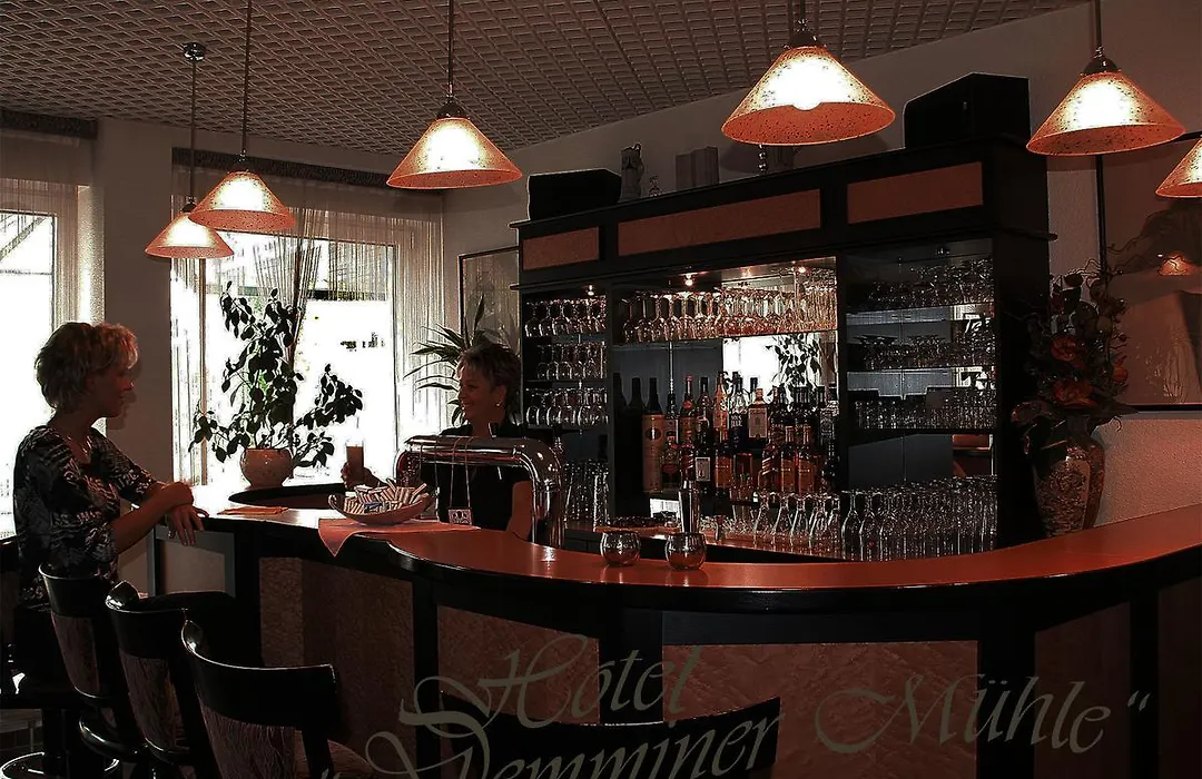 Hotel Demminer Mühle-1