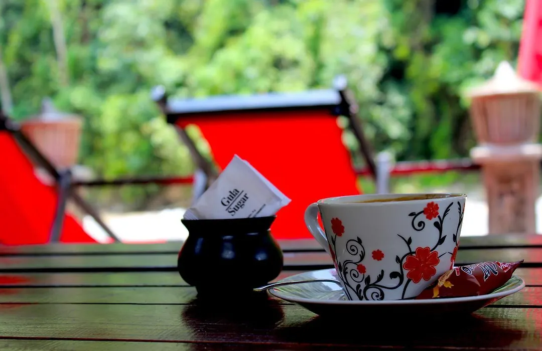 Ecotravel Cottages Bukit Lawang & Jungle Trekking-1