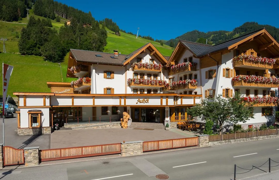 Hotel Auhof-1