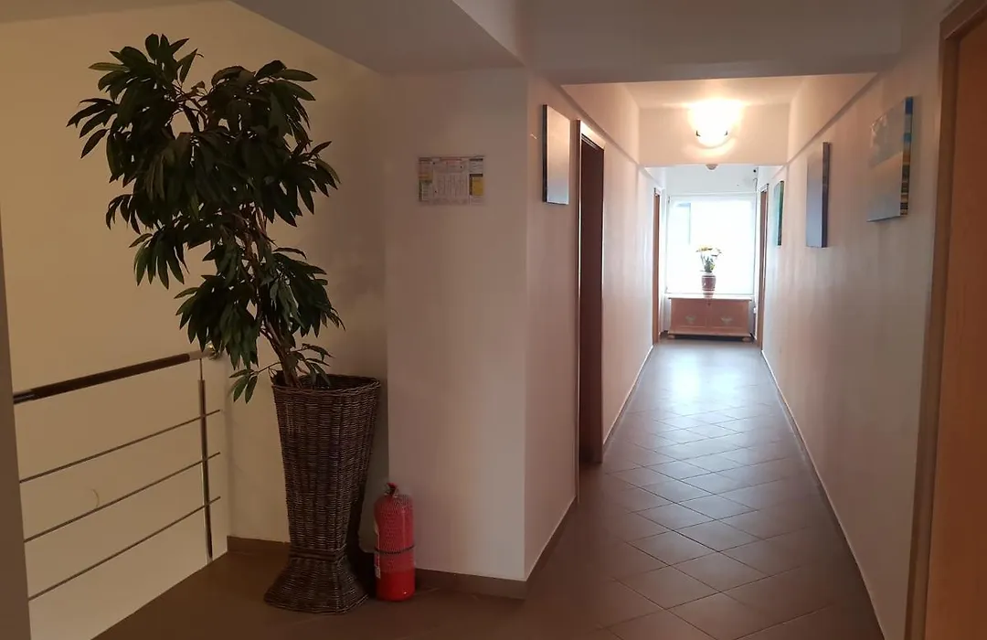 Ametist Casa Leului-1