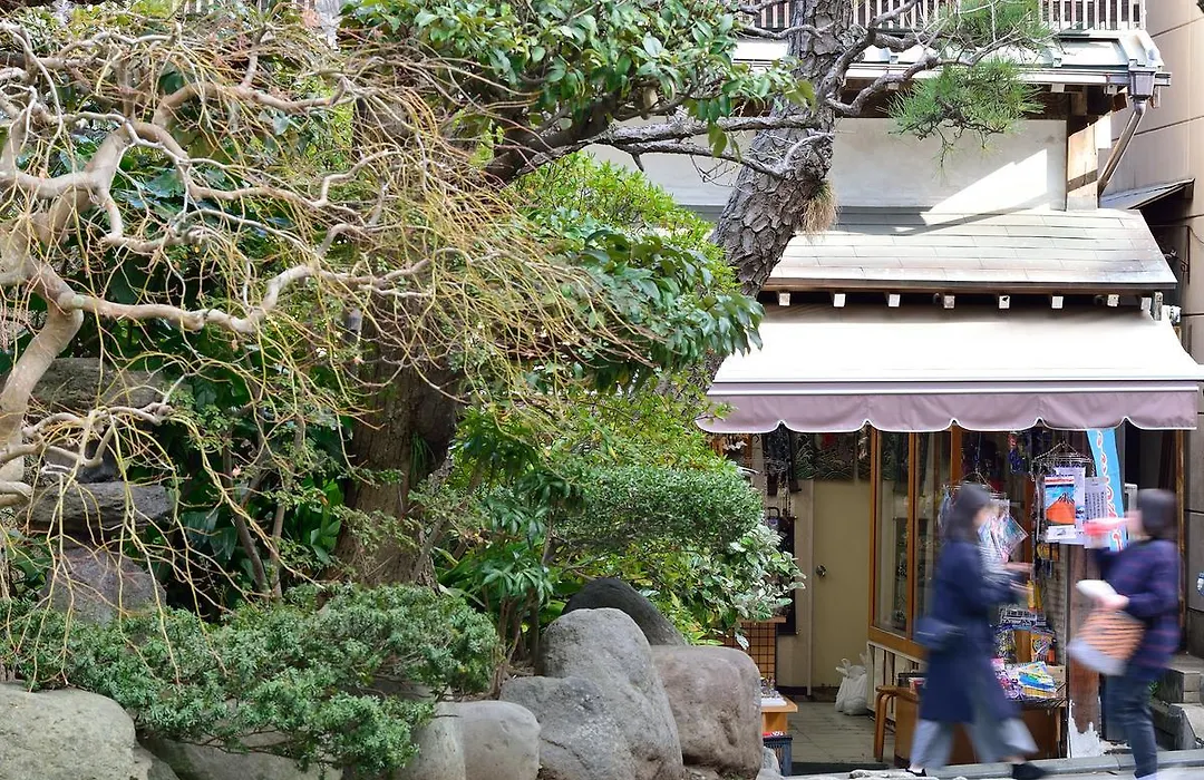 Iwamotoro-1