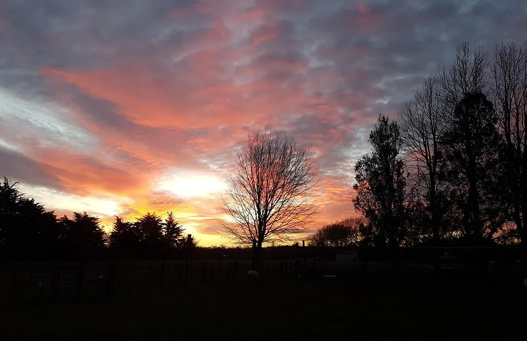 Woodbury Farm-1