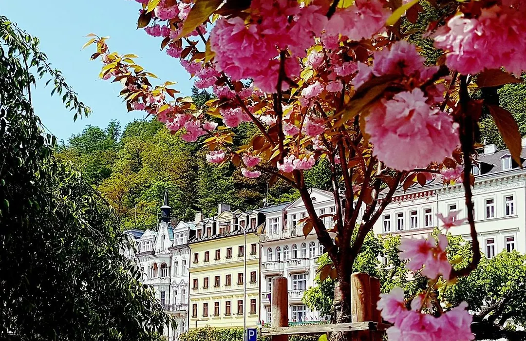 Boutique Hotel Corso-1