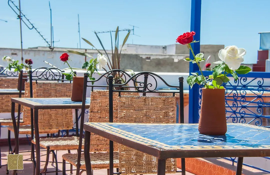 Riad Jbara-1