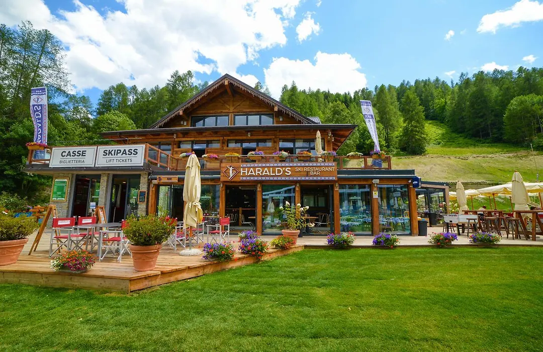 Appartamenti Campo Smith-1