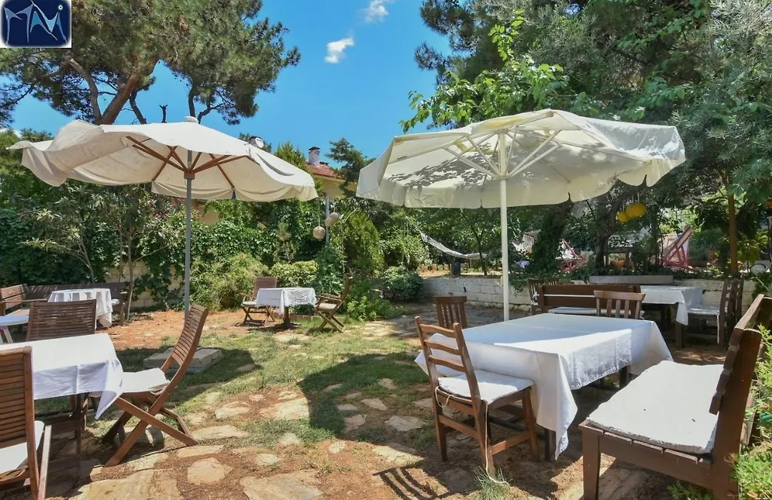 Mavi Pension-1