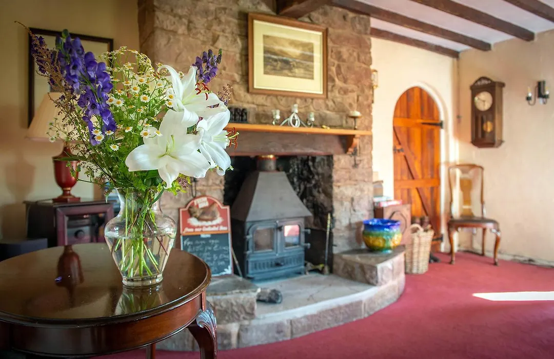 The Dinney B&B-1