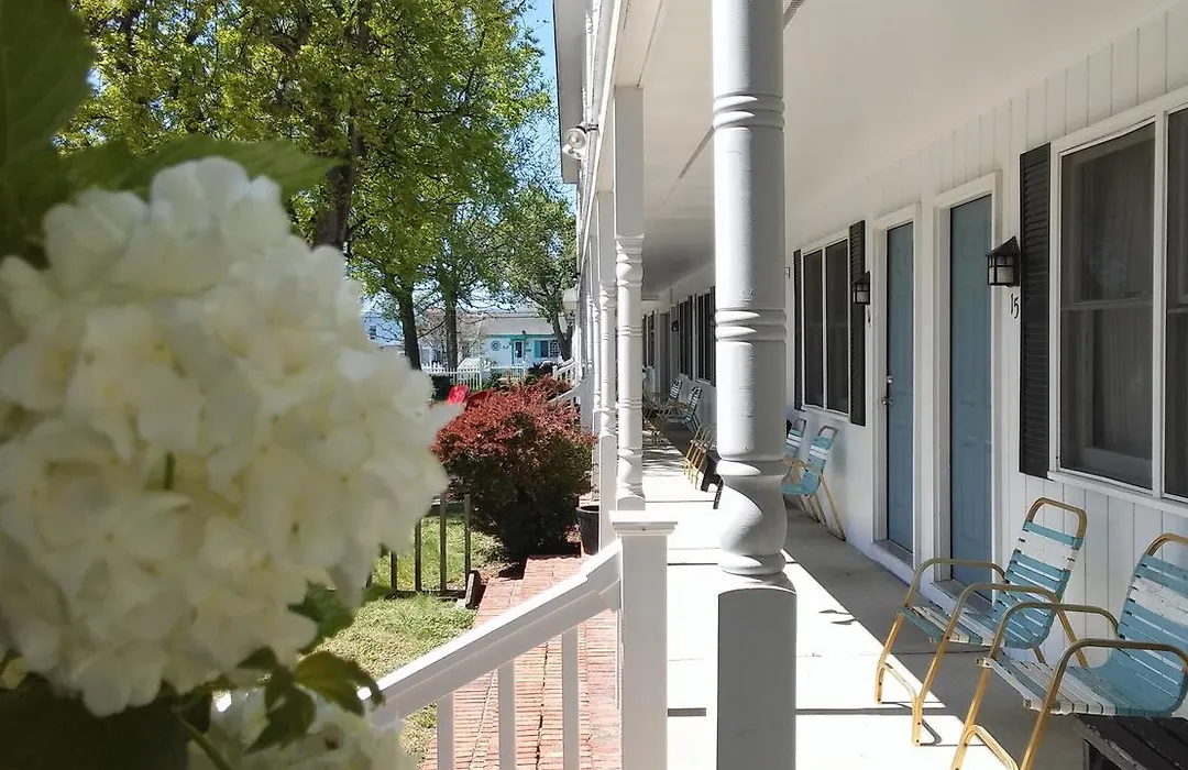 Sea Shell Motel-1