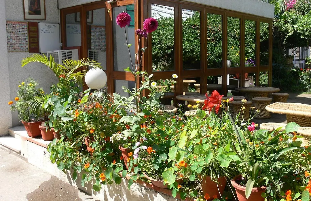 Petite Homestays-1