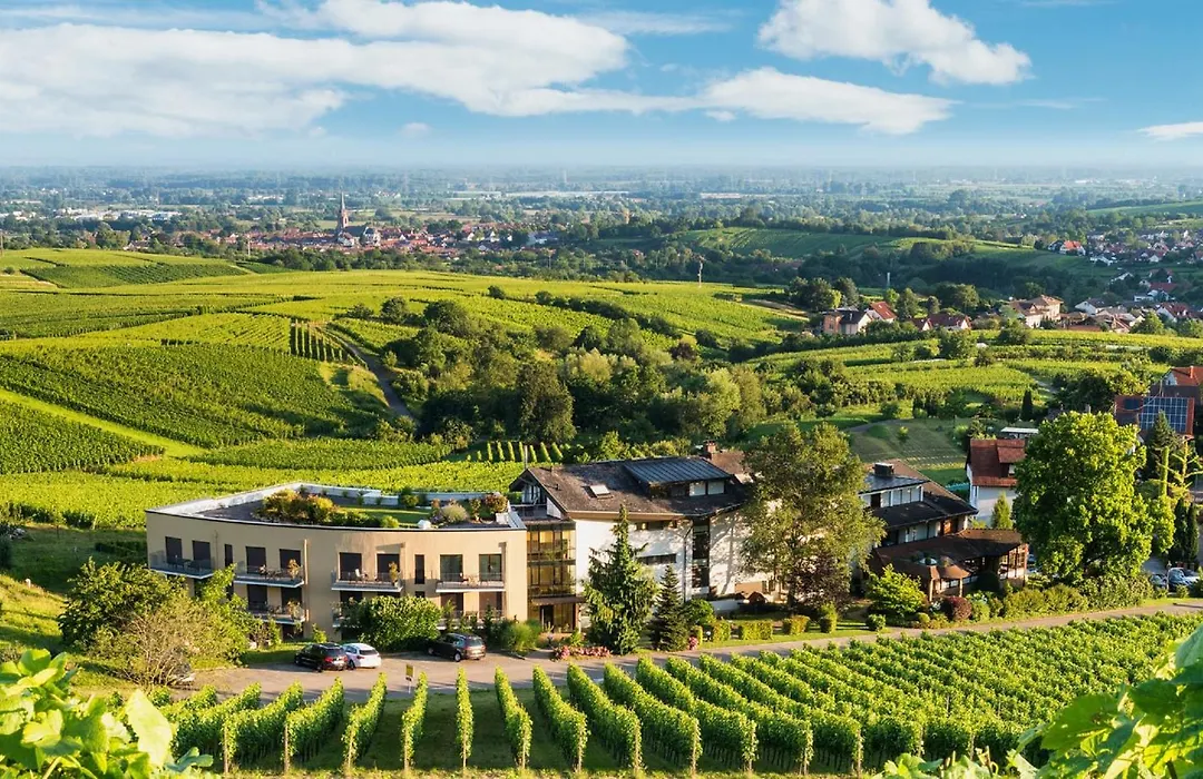Hotel Rebenhof-1