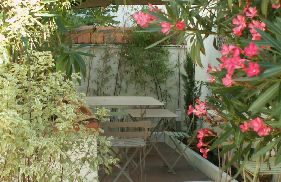 Hôtel Alizé-1
