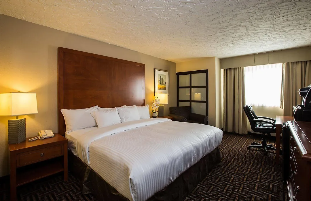 Wyndham Garden Medicine Hat Conference Center-1