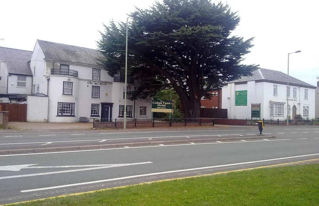 Cedar Tree Hotel-1