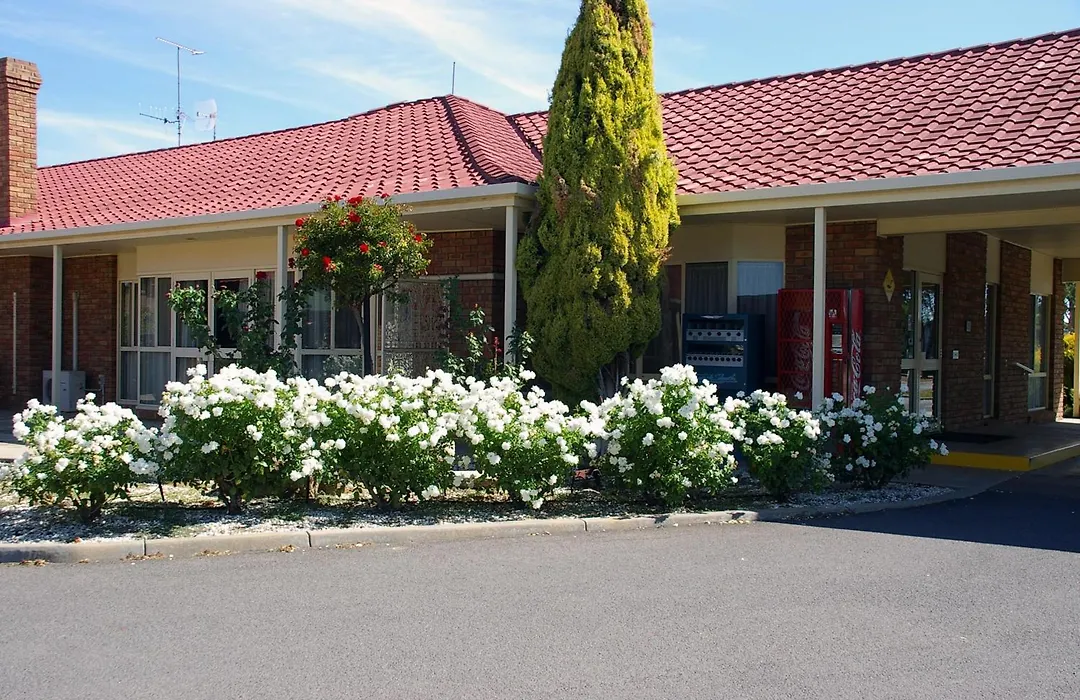 Pines Country Club Motor Inn-1