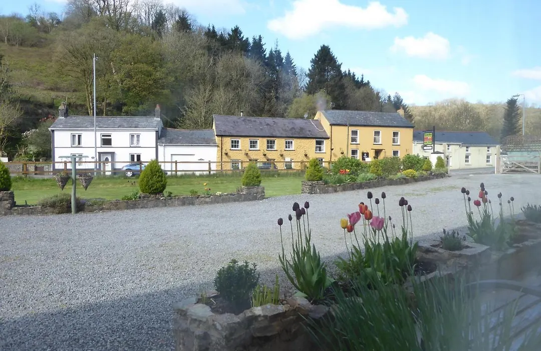 Neuadd Wen Guest House-1