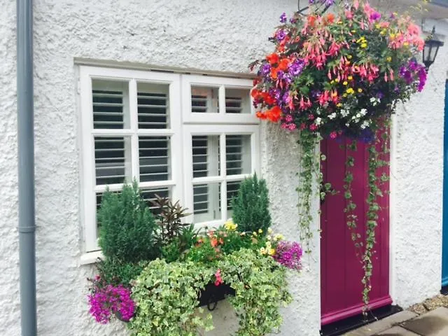 The Swan Inn-1