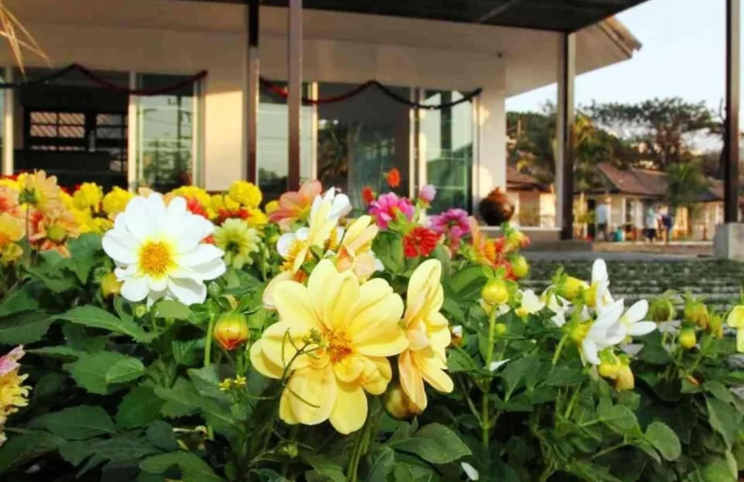 Chiangrai Green Park Resort-1