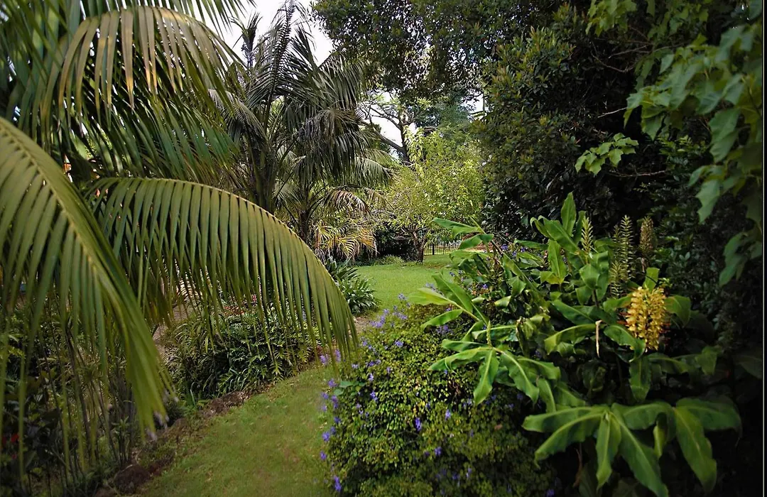 Mountain Sanctuary B&B-1