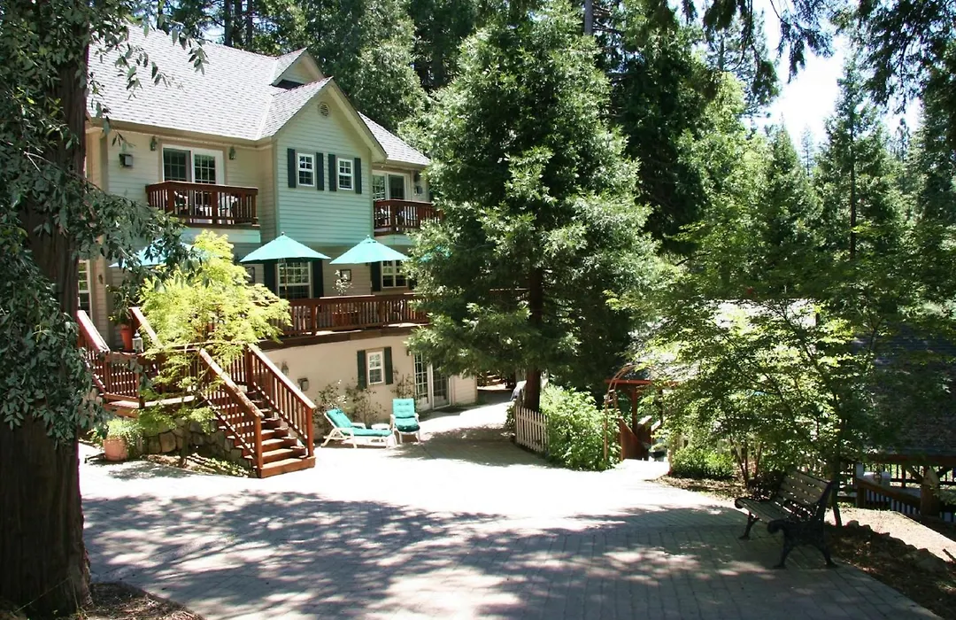 Mccaffrey House Bed And Breakfast Inn-1