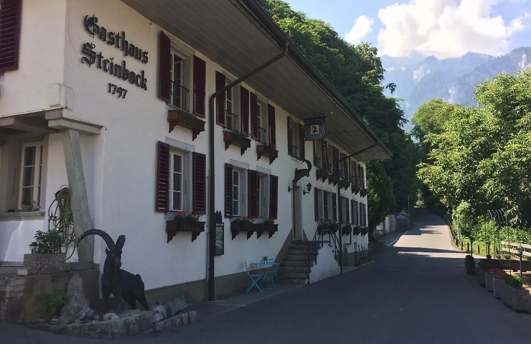 Historic Hotel Steinbock-1