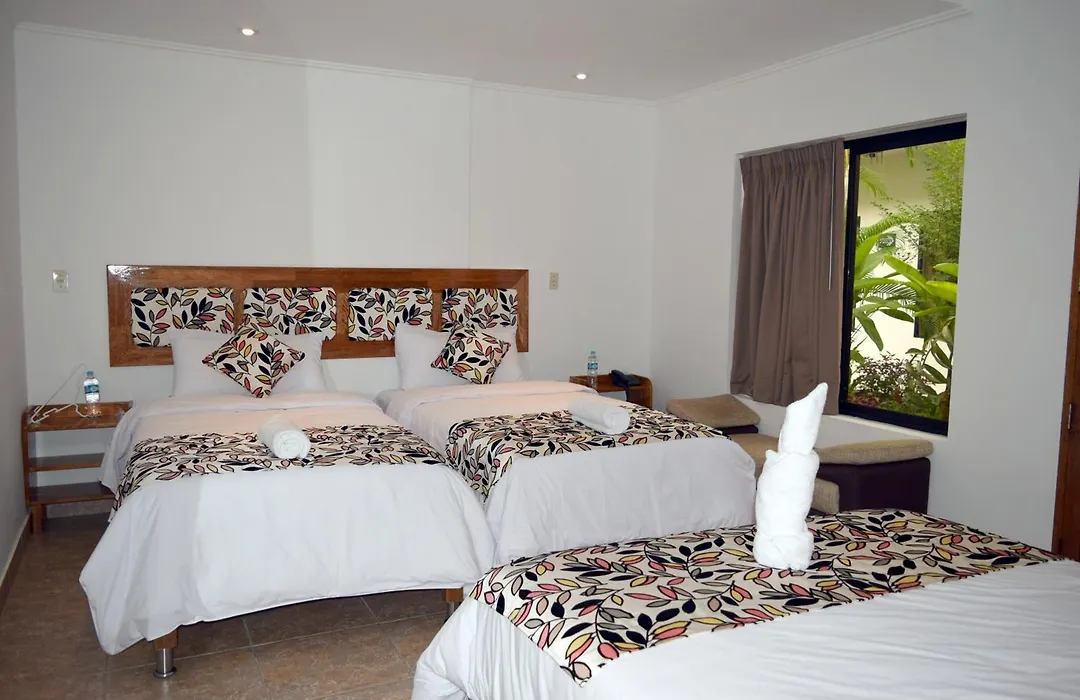 Hotel Jungle House-1